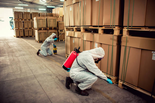 Best Flea Control Services  in James City, NC