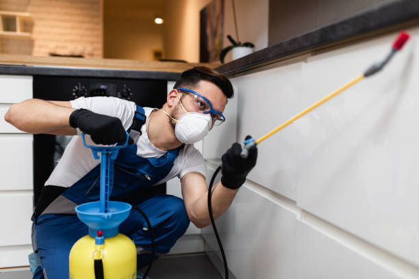 Best Commercial Pest Control Services  in James City, NC
