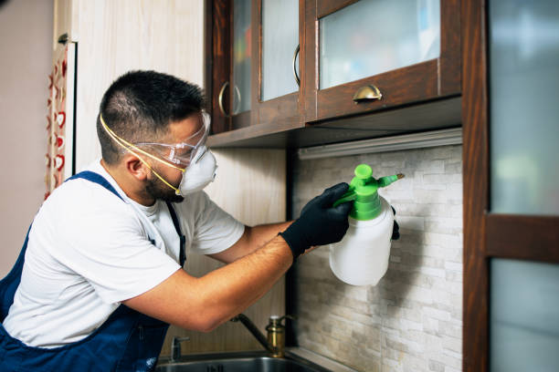 Best Local Pest Control Services  in James City, NC