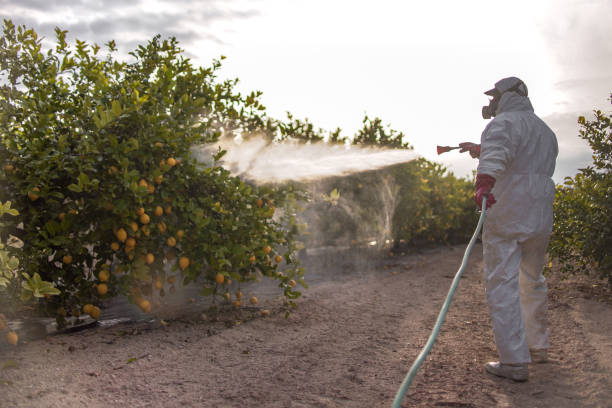 Best Mosquito Control Services  in James City, NC