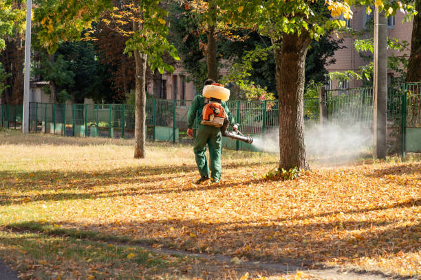 Best Rodent Control Near Me  in James City, NC